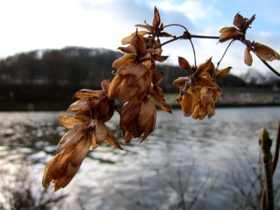 20121206Saar_Saarbruecken4
