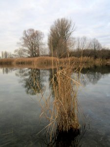 20121213Reilinger_See2