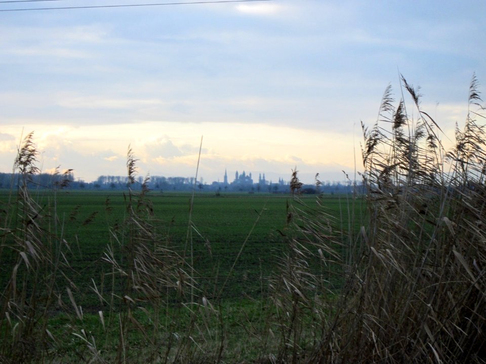 20121218Speyerblick1