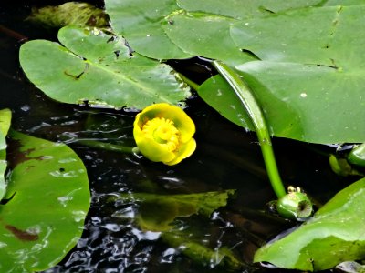 2013_07_16_Twickelervaart4