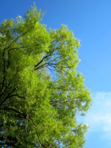 20120807Saar_Saarbruecken05