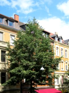 20120807Linde_Mainzer_Str_Saarbruecken1