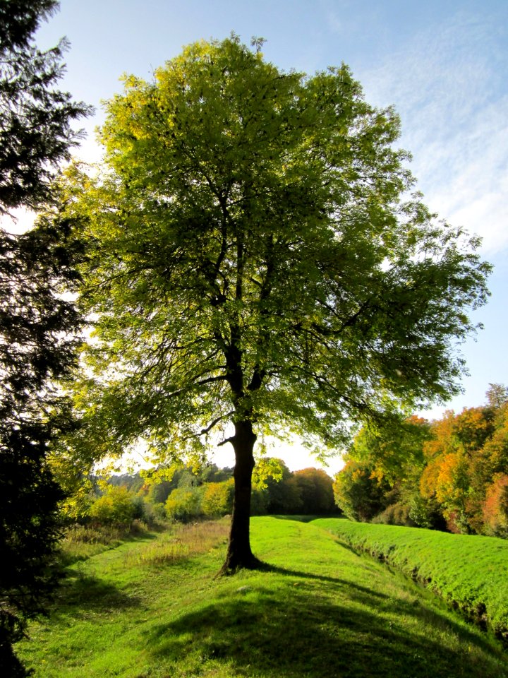 20121019Hartbach06