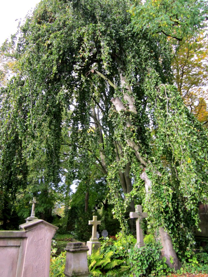 20121016Friedhof_St_Johann3