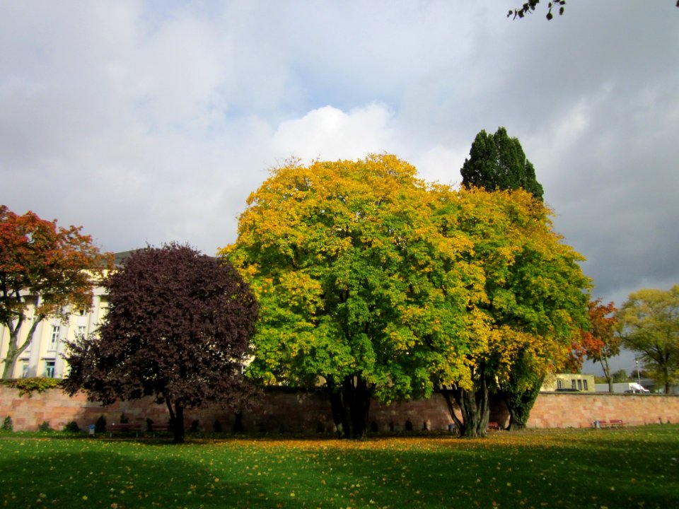 20121015Saar_Saarbruecken02