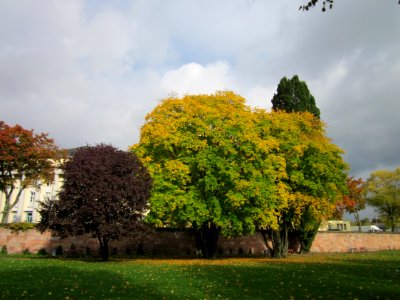 20121015Saar_Saarbruecken02