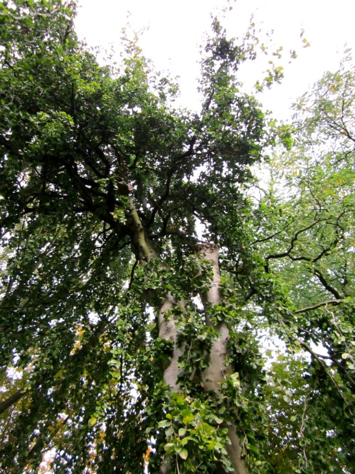 20121016Friedhof_St_Johann5