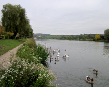 20121011Remich2