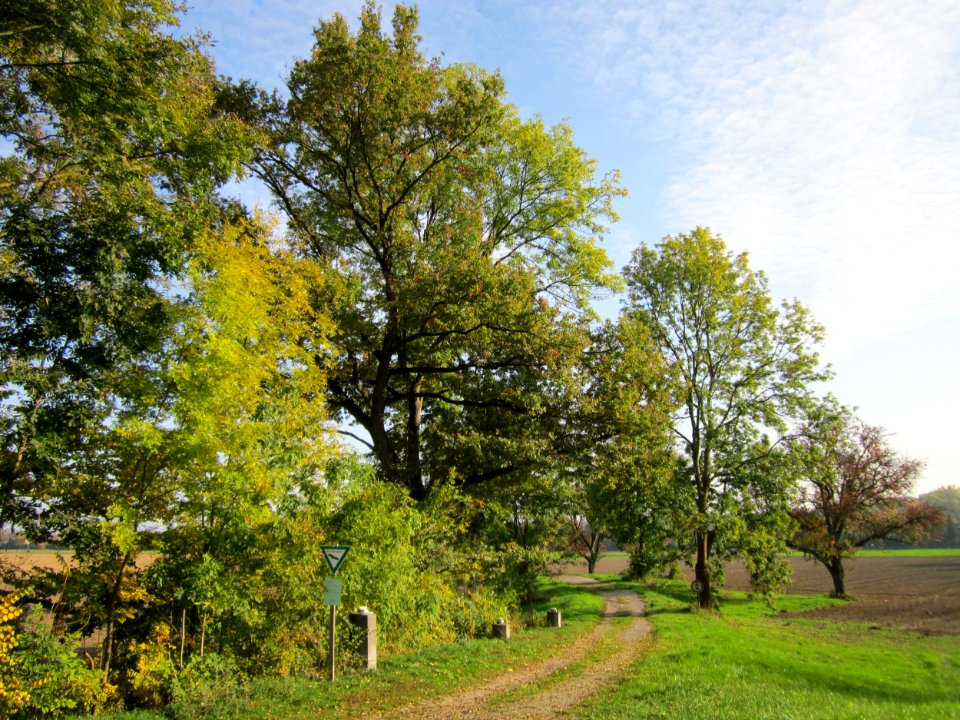 20121021Alte_Landstrasse03
