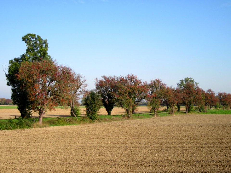 20121021Alte_Landstrasse02