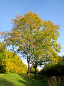 20121019Hartbach04