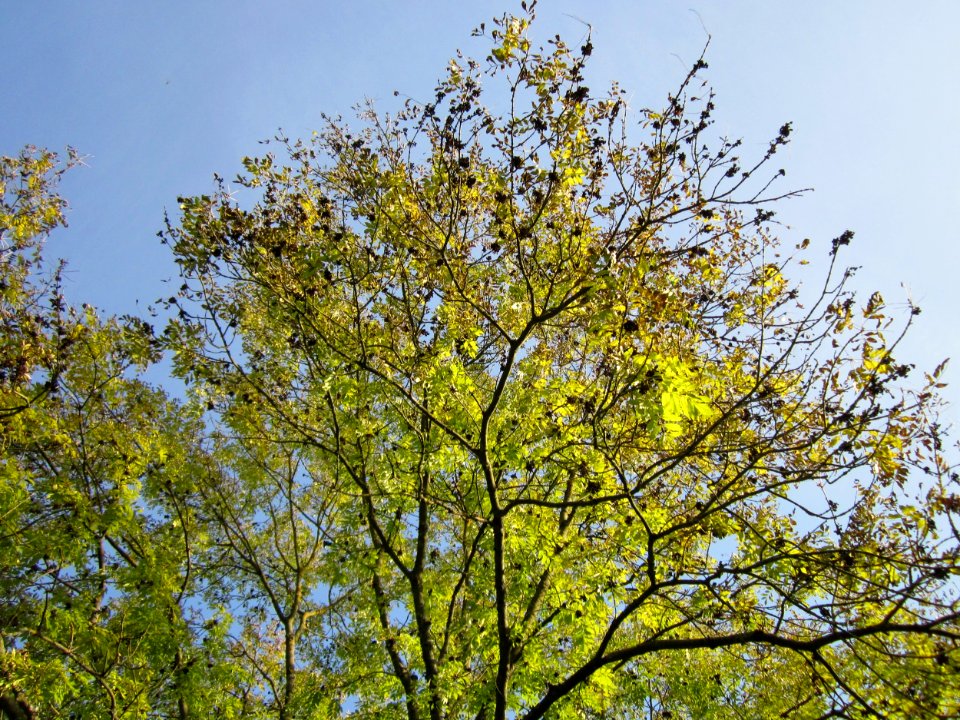 20121019Hartbach05