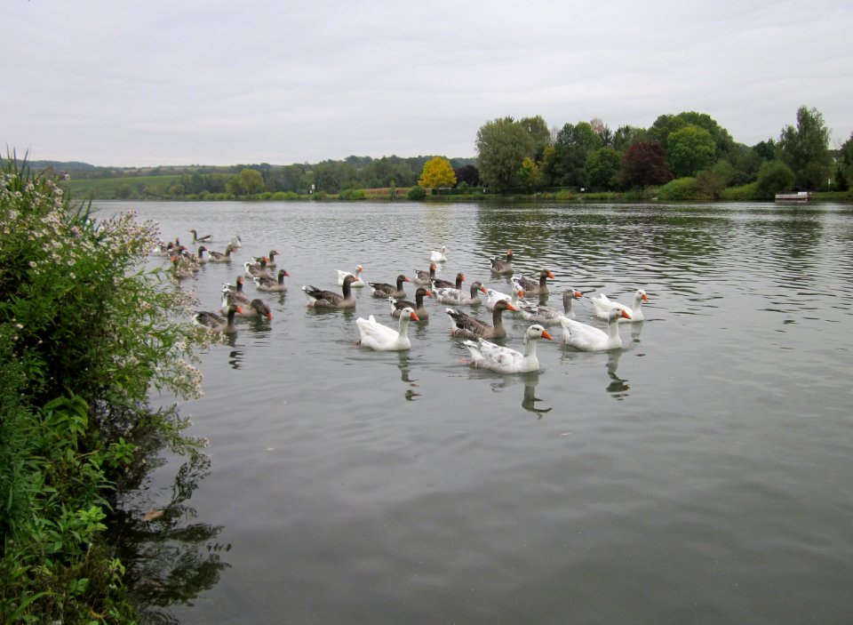 20121011Remich3