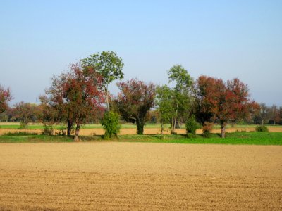 20121021Alte_Landstrasse01