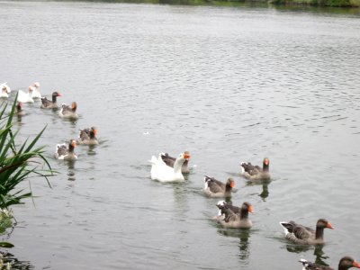 20121011Remich1
