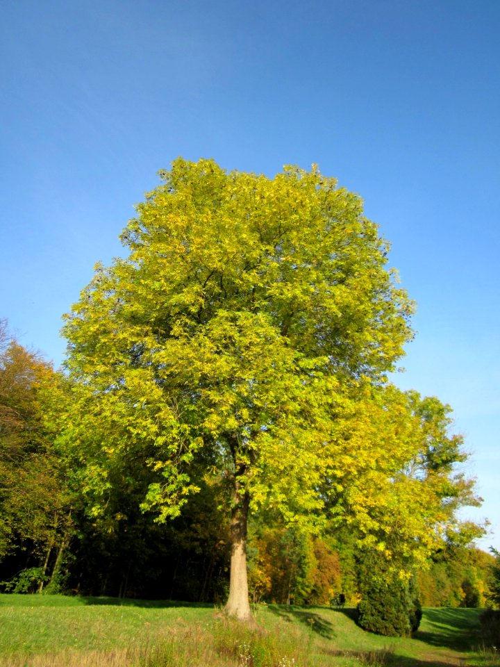 20121019Hartbach07