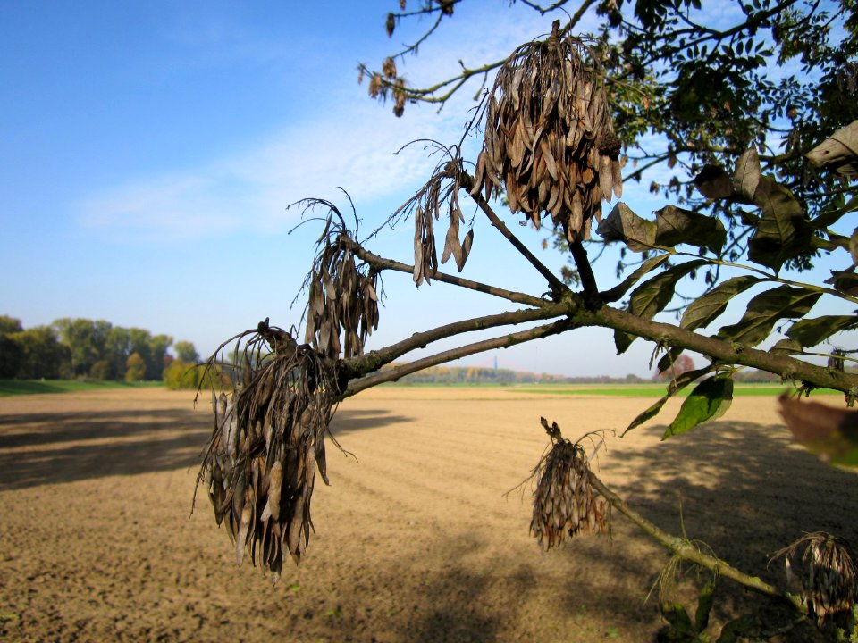 20121021Alte_Landstrasse08
