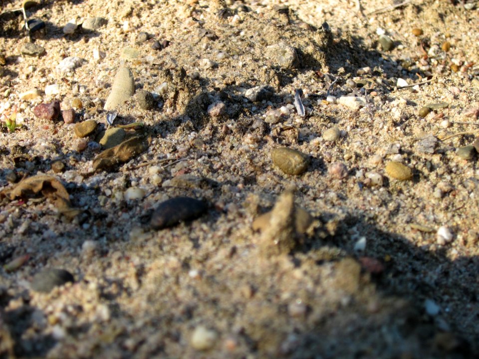 20120810Wueste_Hockenheim3