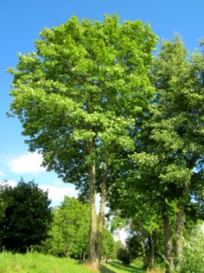 20120807Saar_Saarbruecken11