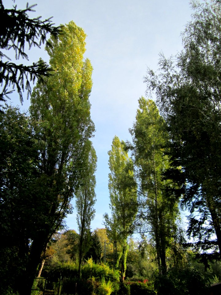 20121016Preussenstr_Saarbruecken