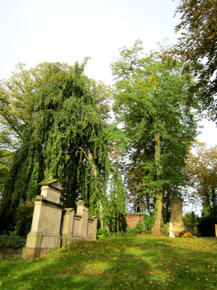 20121016Friedhof_St_Johann2
