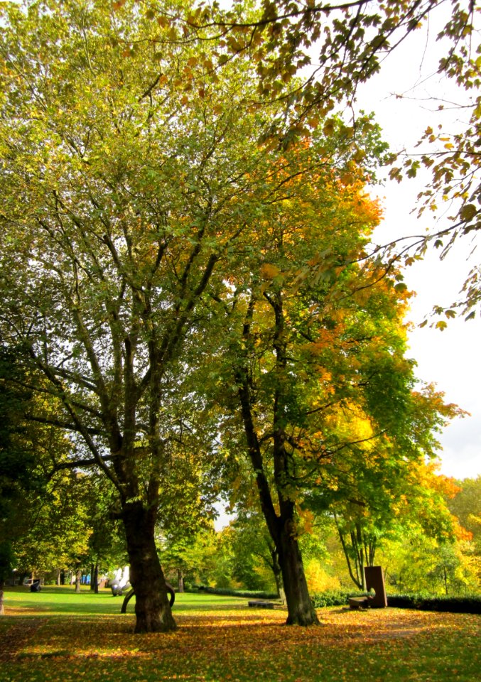 20121015Saar_Saarbruecken10