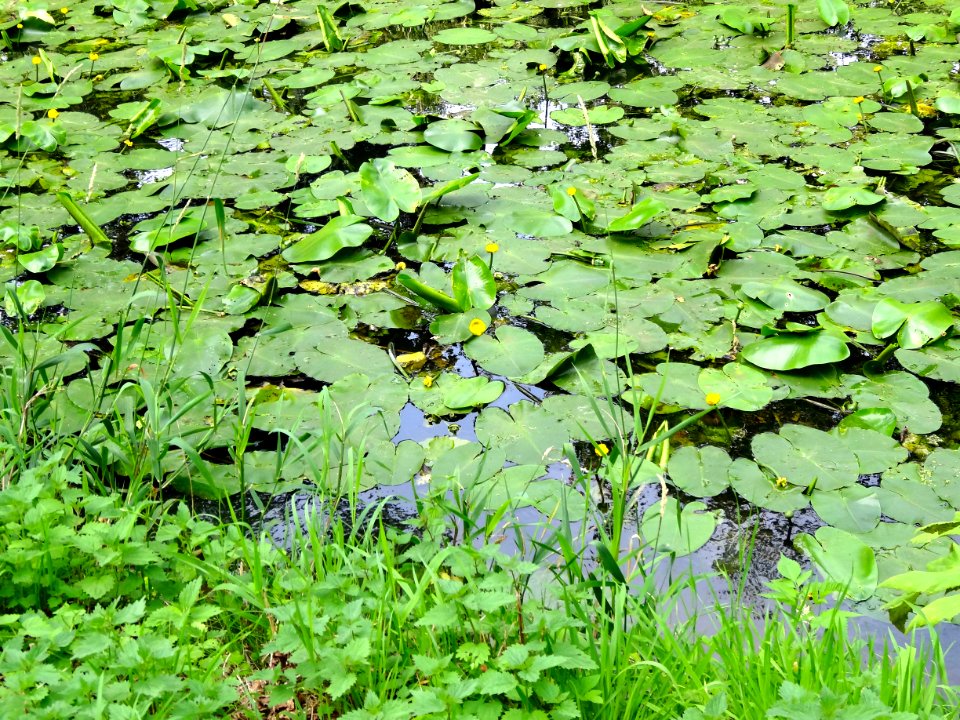 2013_07_16_Twickelervaart3