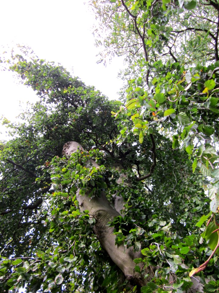 20121016Friedhof_St_Johann6