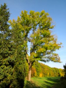 20121019Hartbach08