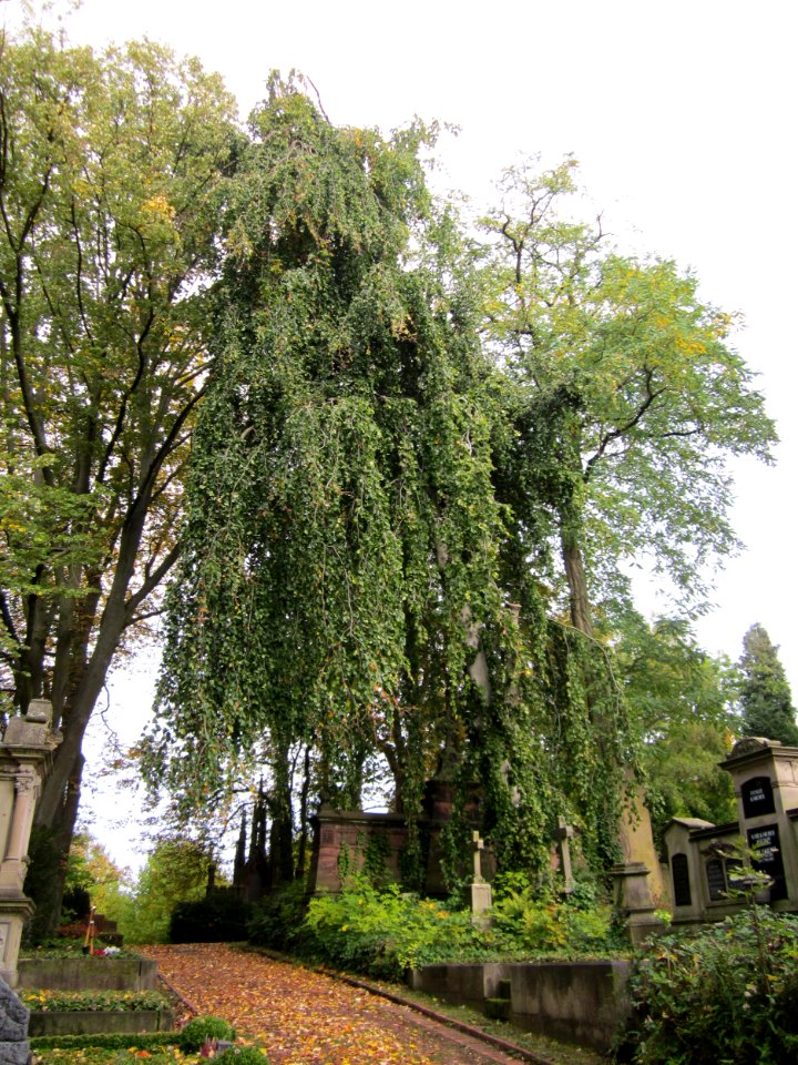 20121016Friedhof_St_Johann4
