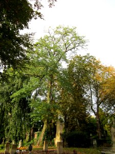 20121016Friedhof_St_Johann1