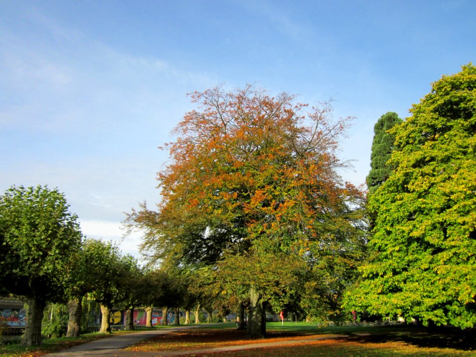20121016Staden5