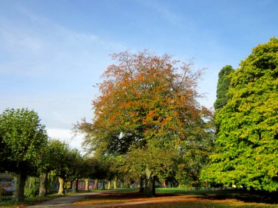 20121016Staden5