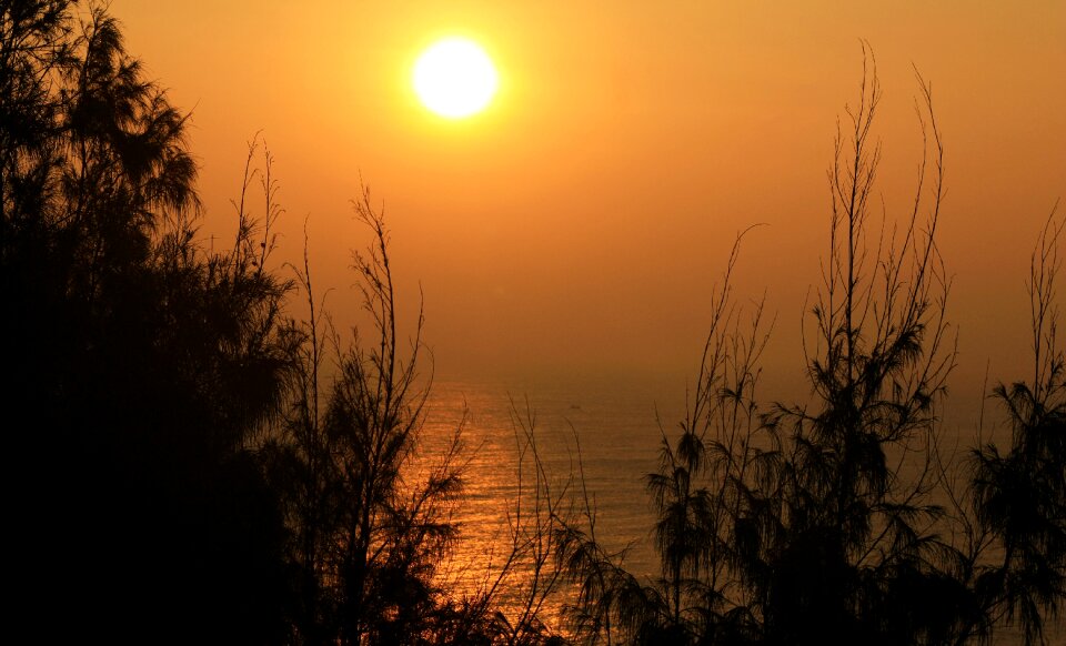 Summer nature sunset