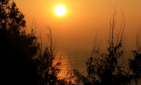 Summer nature sunset