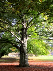 20121016Staden6