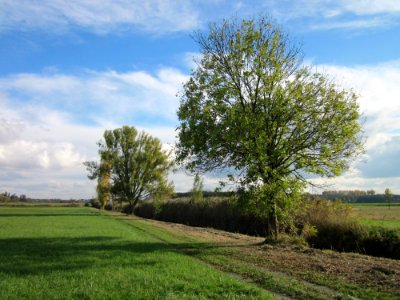 20121028Hockenheimer_Rheinbogen05
