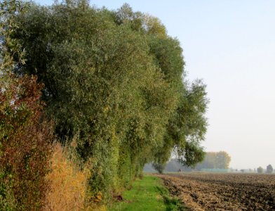 20121024Katzengraben06
