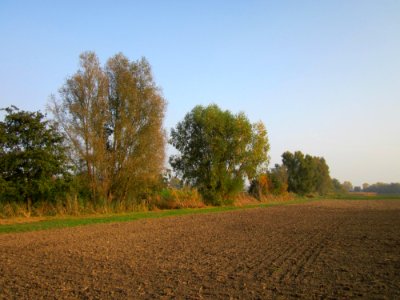 20121024Katzengraben12