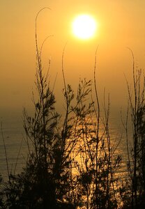 Summer nature sunset