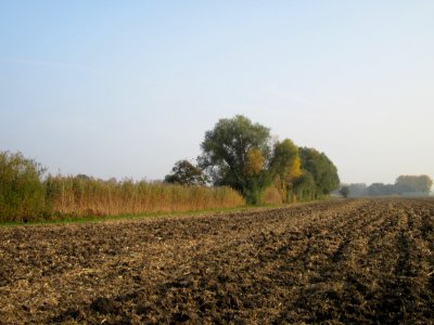 20121024Katzengraben01