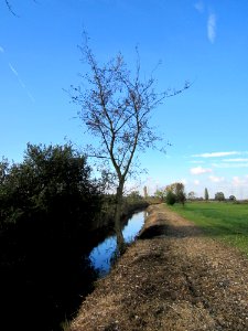 20121028Hockenheimer_Rheinbogen02