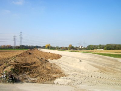 20121024Rheindamm_Altlussheim