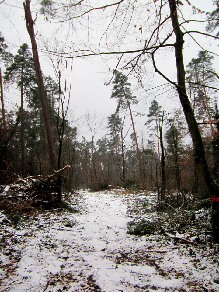 20121202Schwetzinger_Hardt01