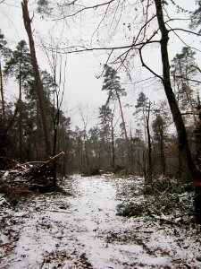 20121202Schwetzinger_Hardt01