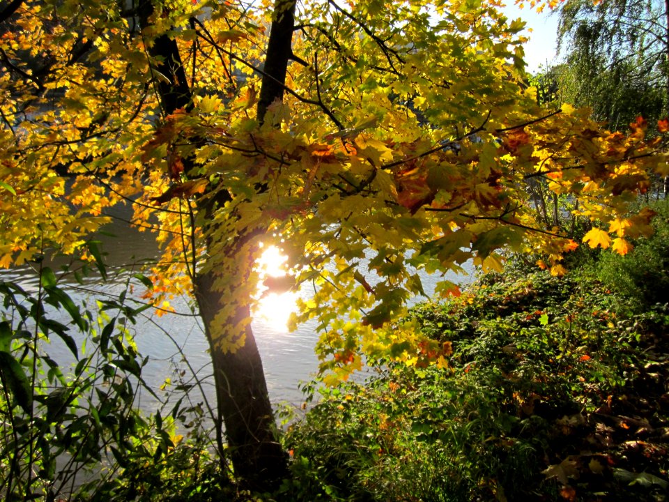 20121106Staden_Saarbruecken14