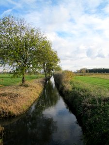 20121028Hockenheimer_Rheinbogen06