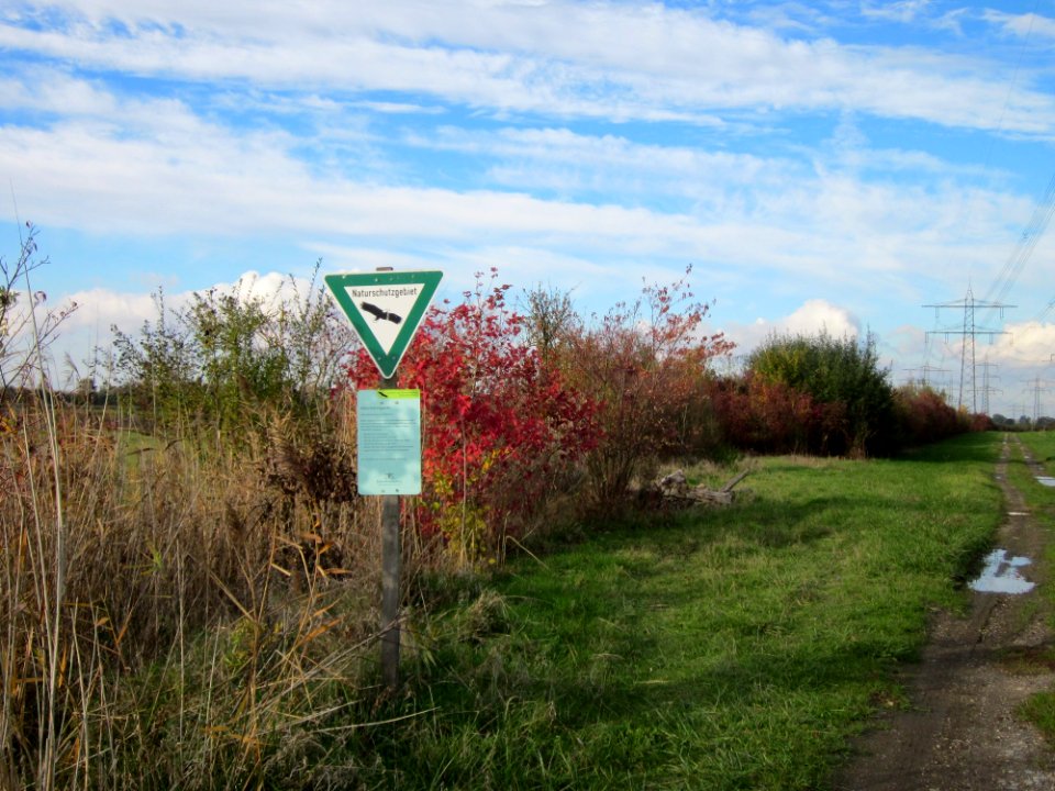 20121028Hockenheimer_Rheinbogen13