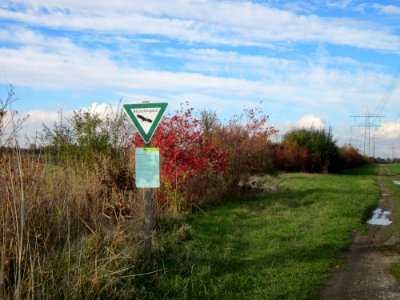 20121028Hockenheimer_Rheinbogen13