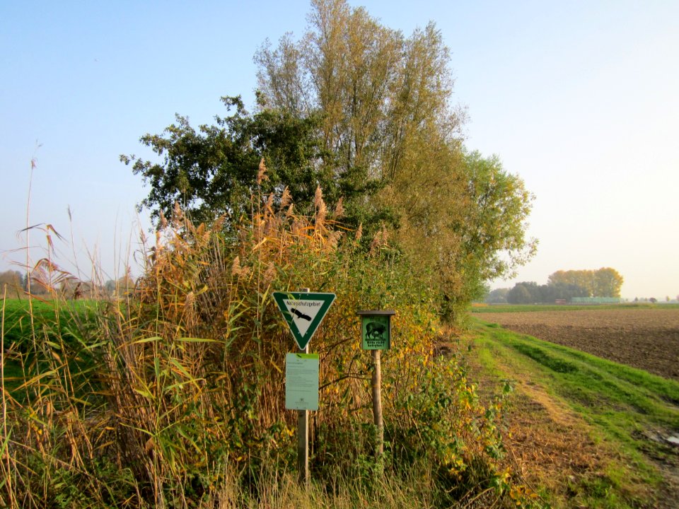 20121024Katzengraben10